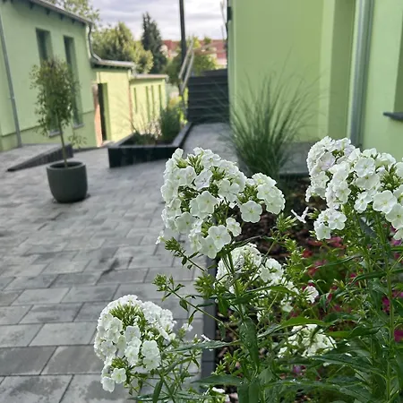 Ruppin Loft Im Zentrum Von